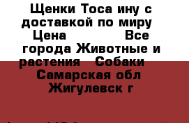 Щенки Тоса-ину с доставкой по миру › Цена ­ 68 000 - Все города Животные и растения » Собаки   . Самарская обл.,Жигулевск г.